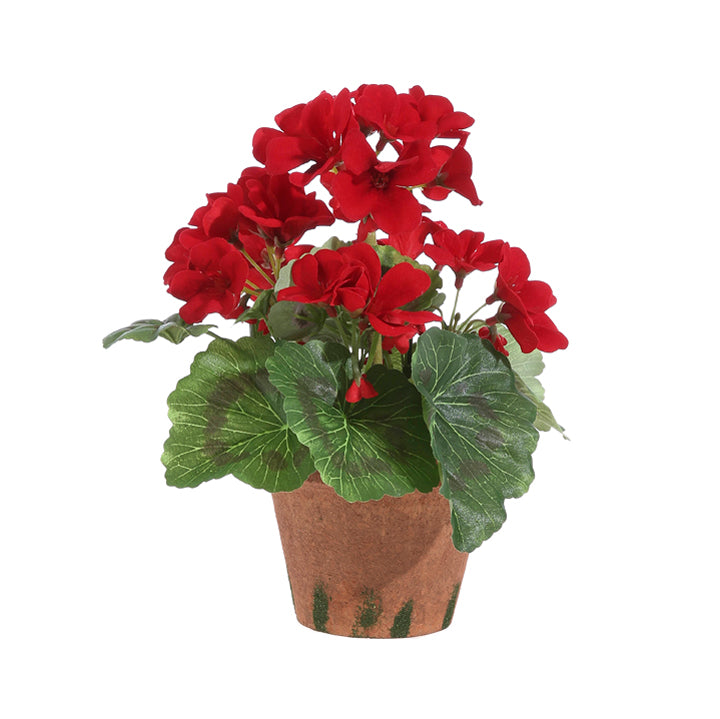 Potted 9" Red Geranium