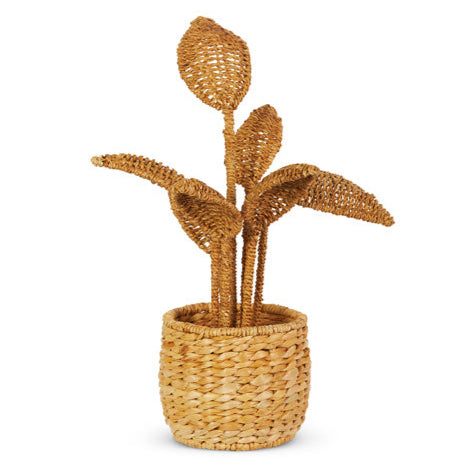 Rattan Potted Plant