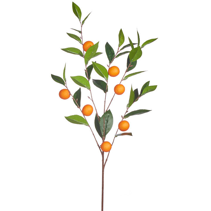 Orange Stem
