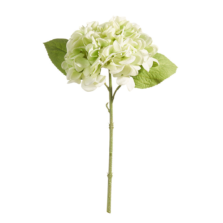 Real Touch Green Hydrangea Stem - 13"