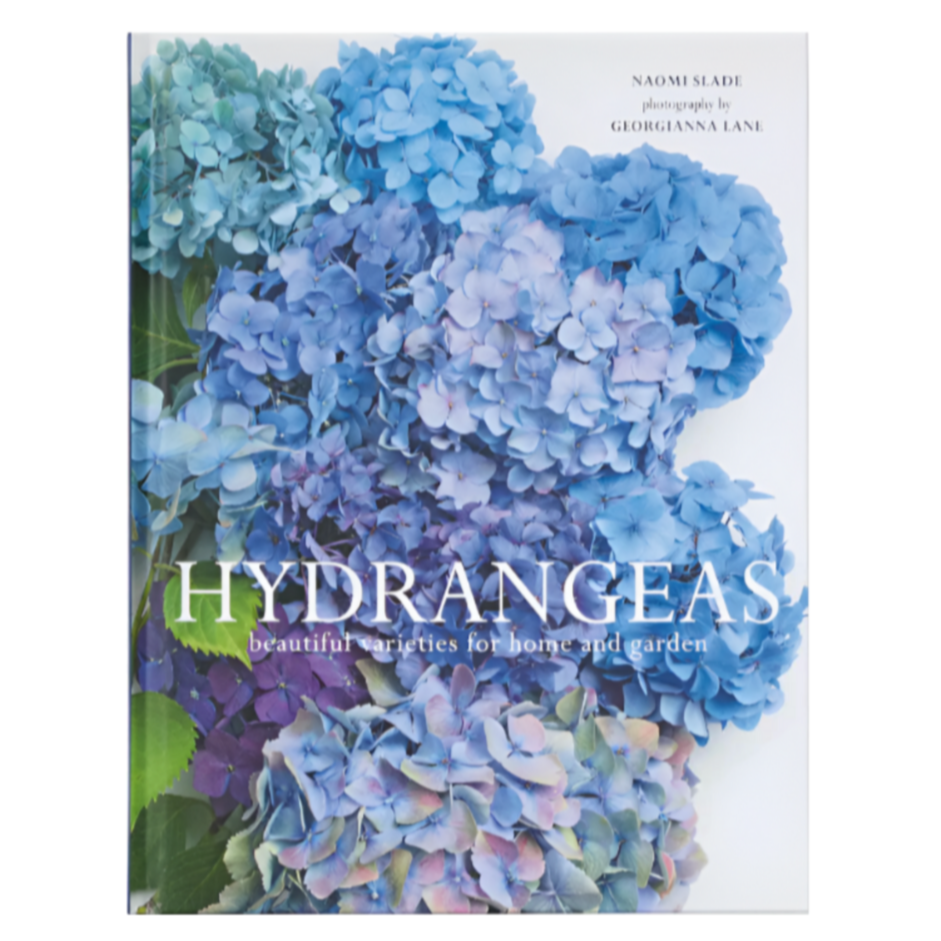 Hydrangeas: Beautiful Varieties for Home & Garden
