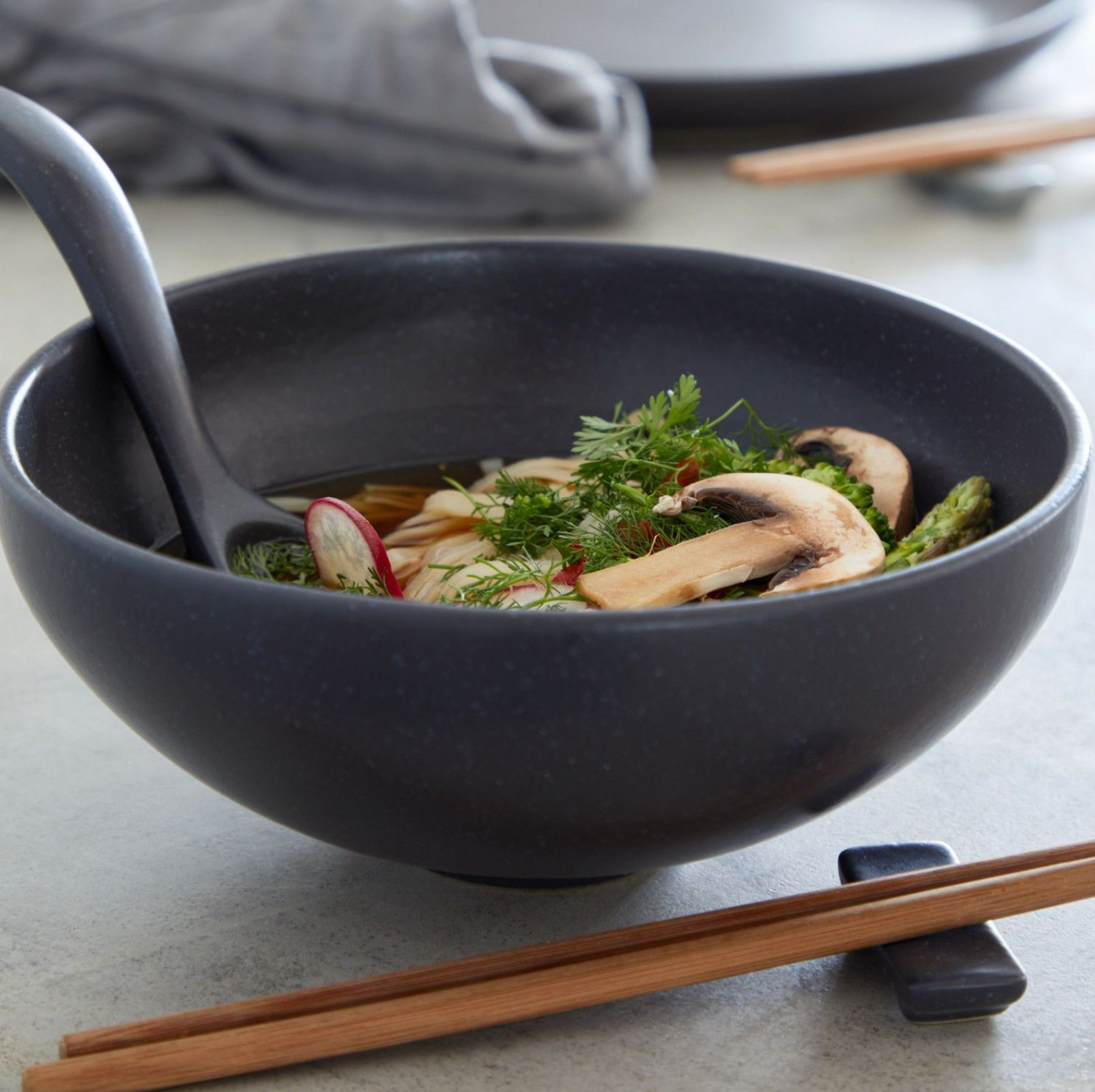 Casafina Pacifica Ramen Bowl Set, Seed