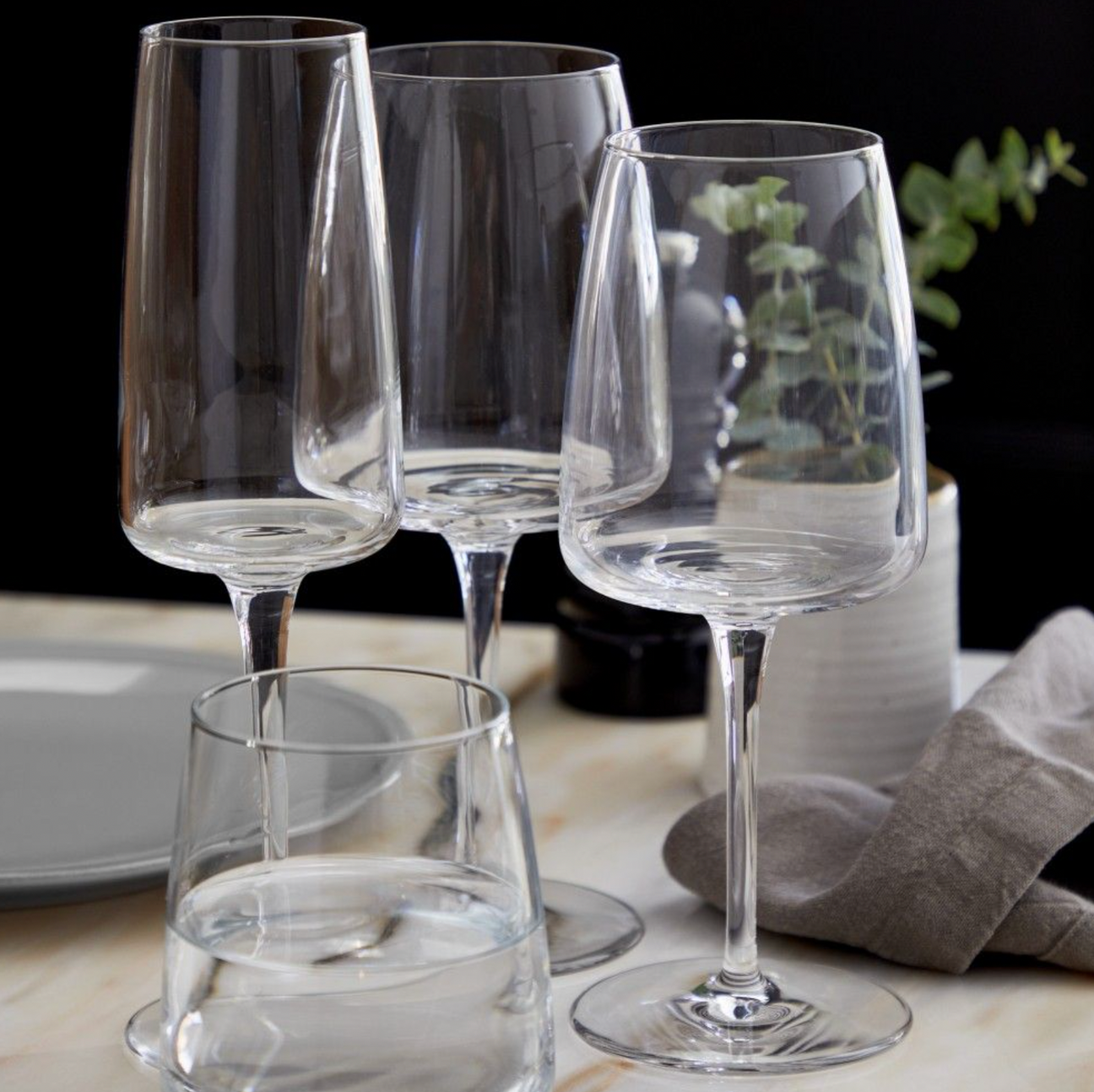 Costa Nova Vine Champagne Flute