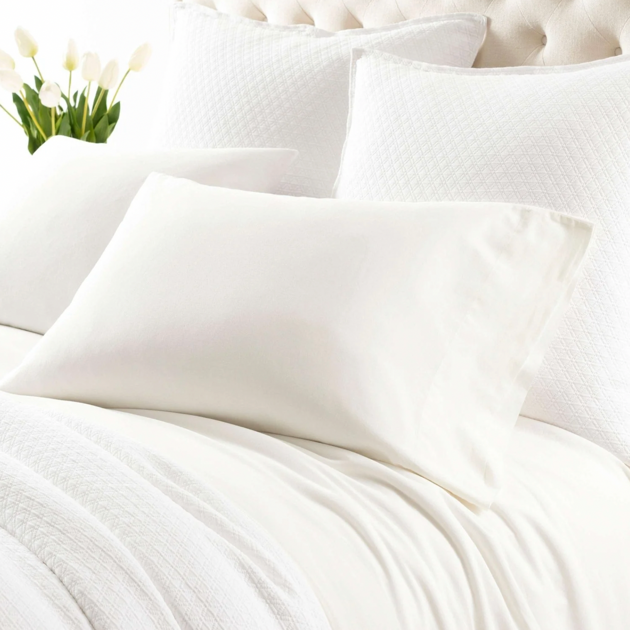 Pine Cone Hill Cozy Cotton Ivory Sheet Set