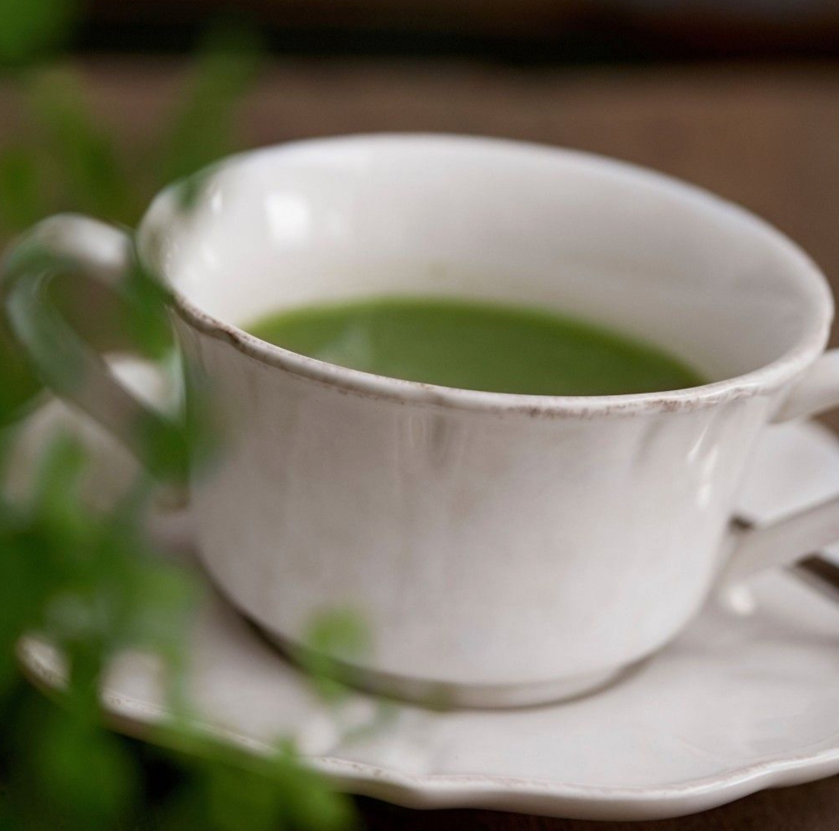 Casafina Impressions Consomme Cup and Saucer, White