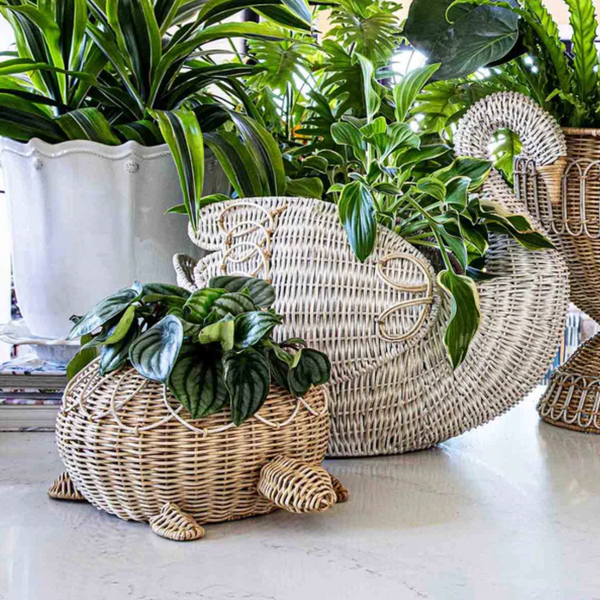 Juliska Provence Rattan Whitewash Turtle Bowl – Waiting On Martha