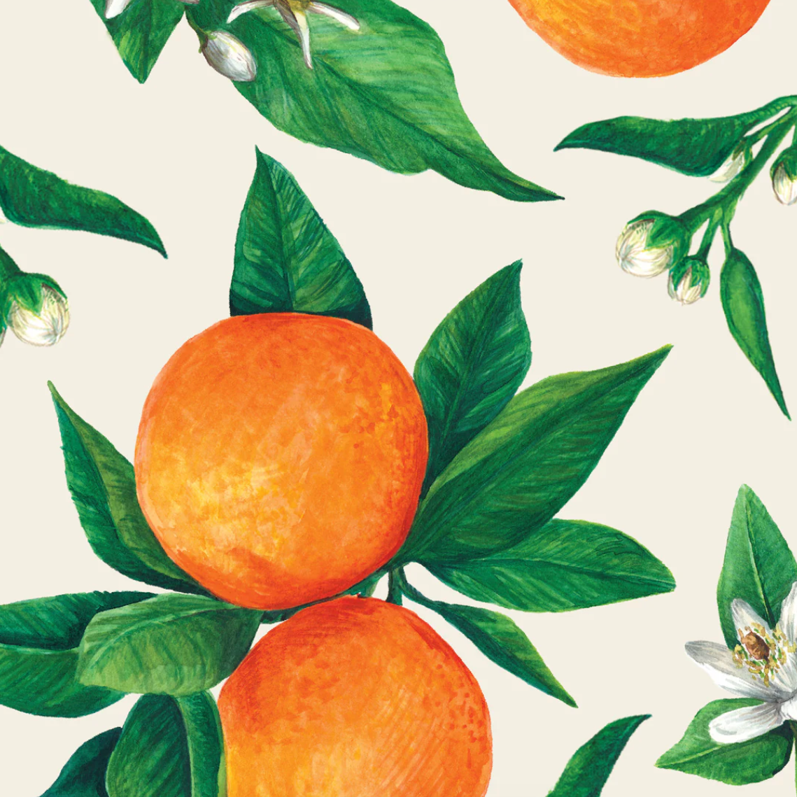 Orange Orchard Guest Paper Napkins, Set of 16