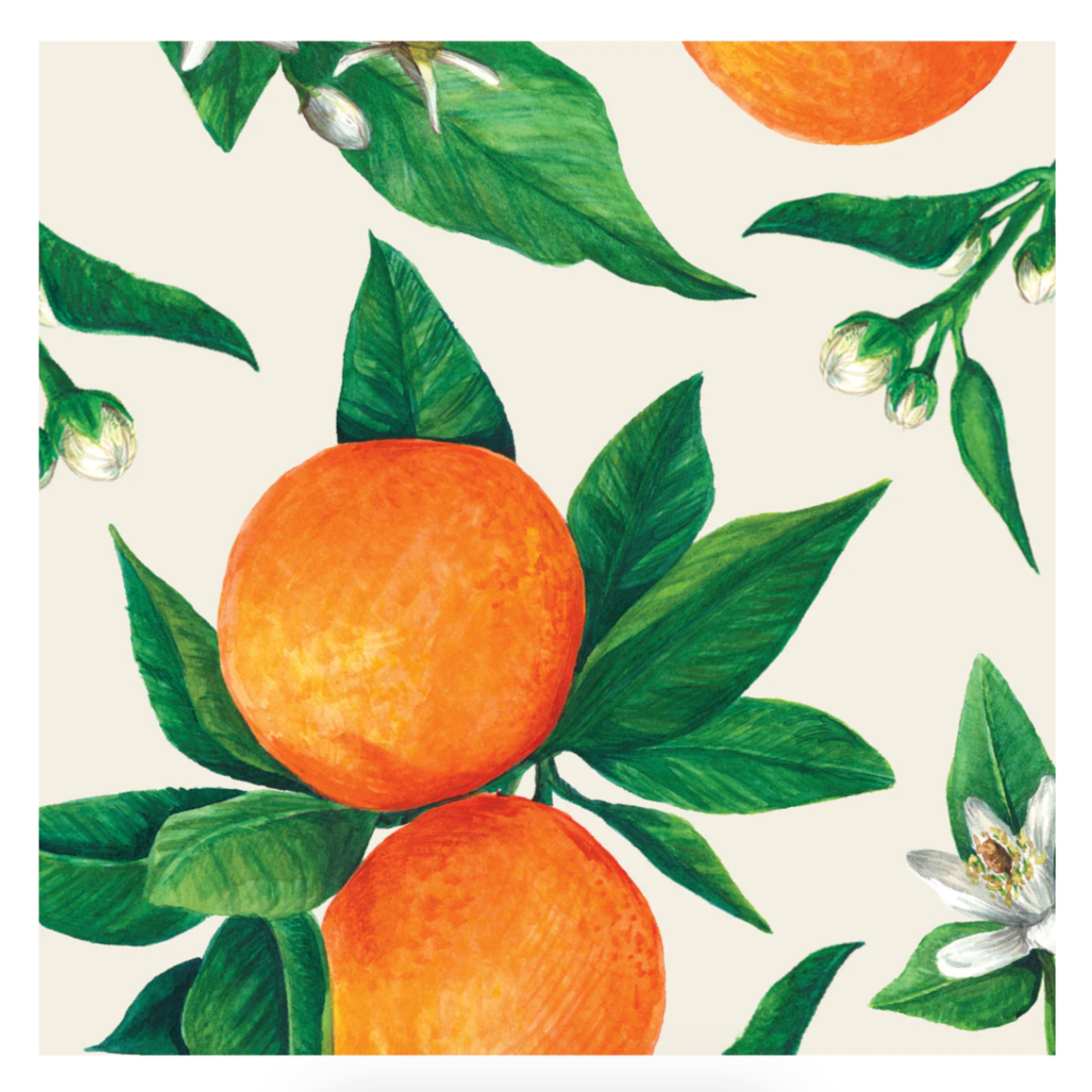 Orange Orchard Cocktail Paper Napkins, Set of 20