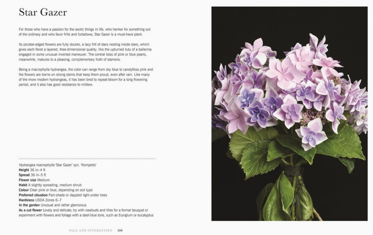 Hydrangeas: Beautiful Varieties for Home & Garden