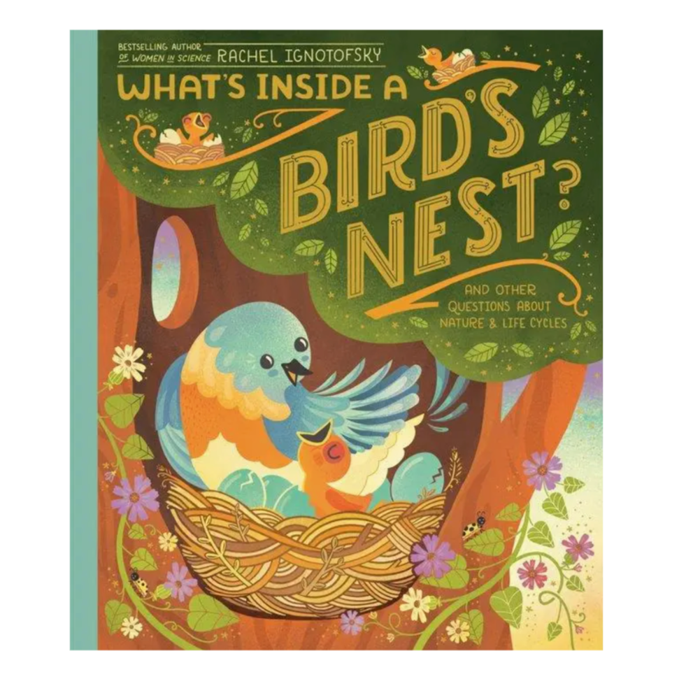 What's Inside A Bird's Nest?