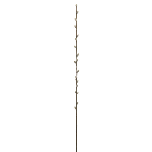 Willow Stem - 40" Real Touch