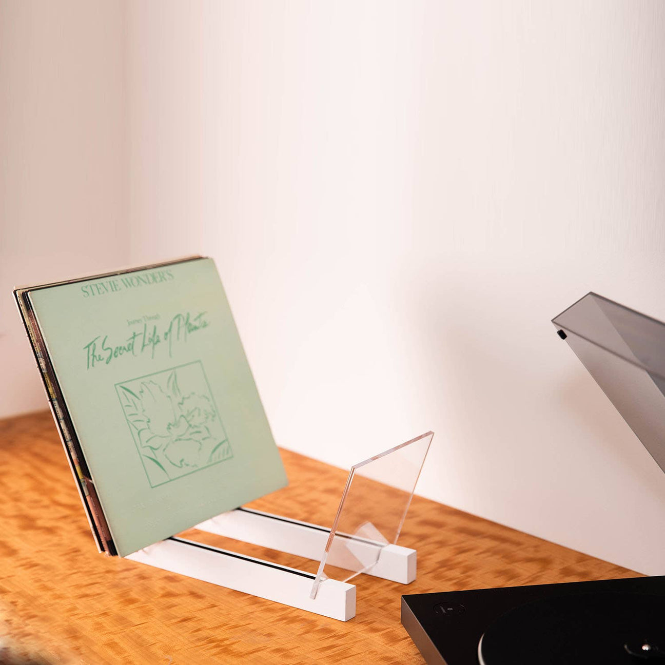 Vinyl Record Storage Holder - White
