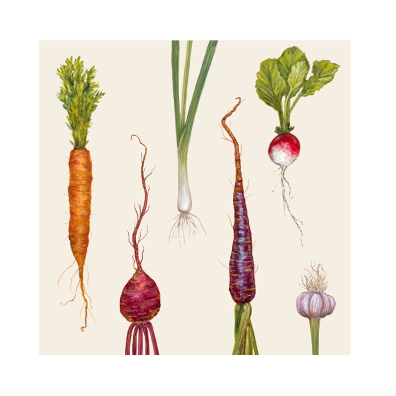 Farmers' Market Cocktail Paper Napkins - Set of 20