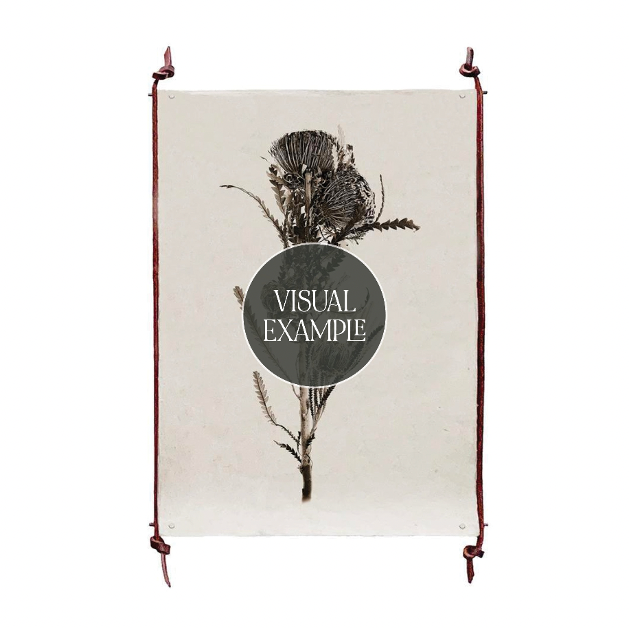 Tall Sea Fan Print