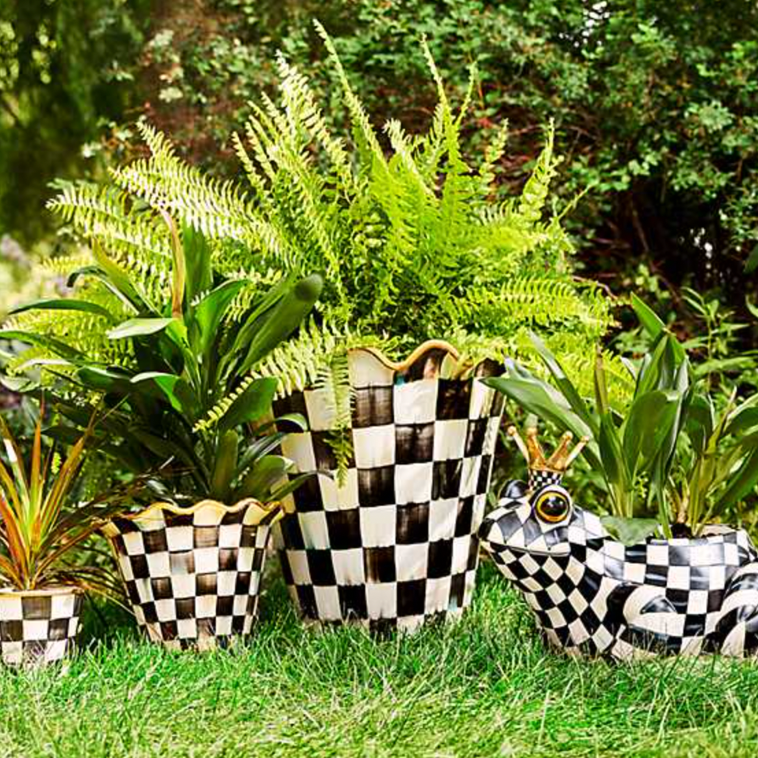 jumbo plant pots MacKenzie Childs Courtly Check Jumbo Garden Pot