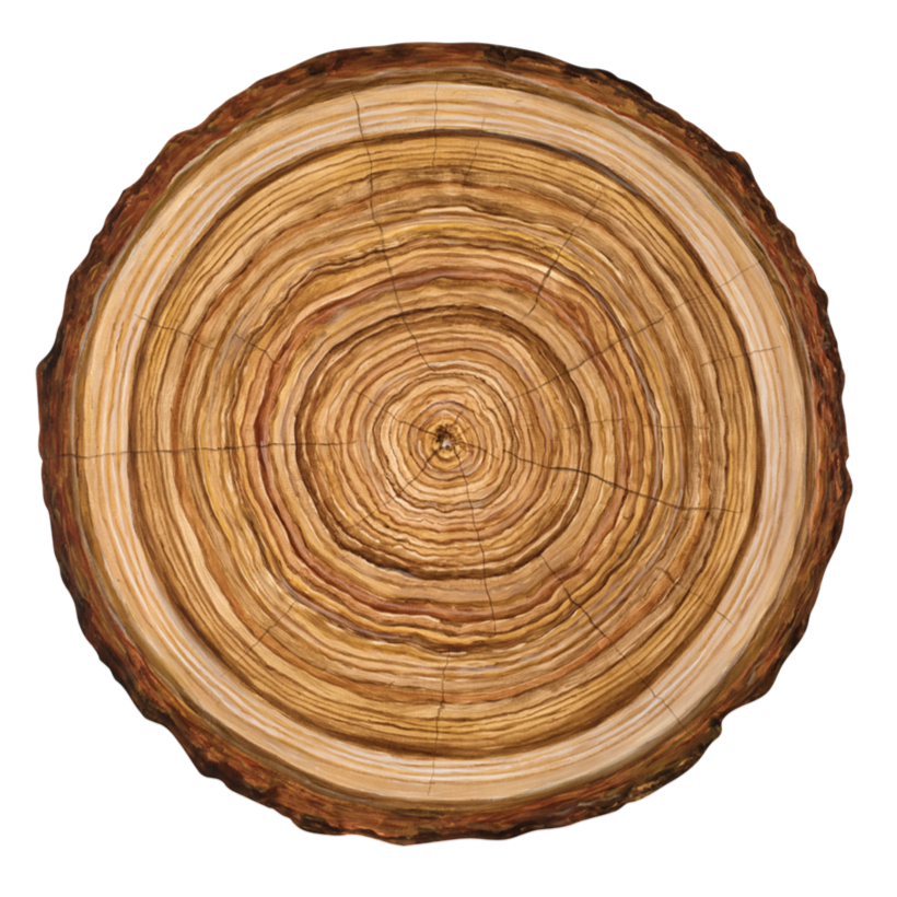 Wood Slice Placemats