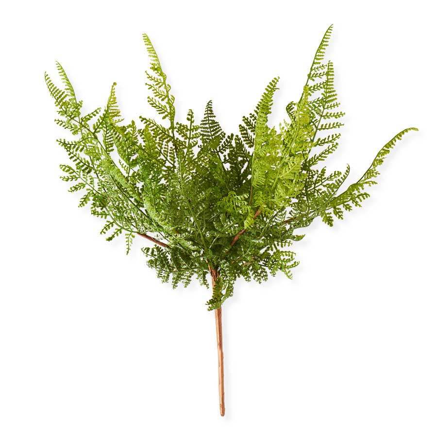Curly Aspidiaceae Fern Spray Stem